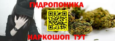 PSILOCYBIN Пенза
