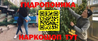 мдпв Партизанск