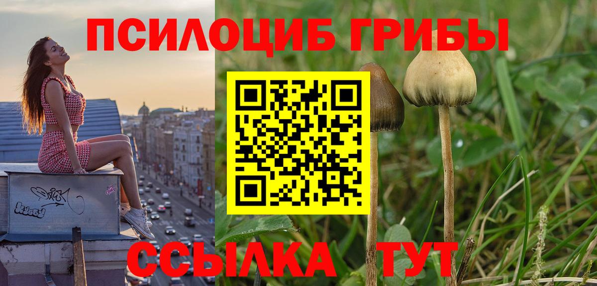 цены   Галлюциногенные грибы Cubensis  Вход с VPN  Галлюциногенные грибы MAGIC MUSHROOMS  Буйнакск 