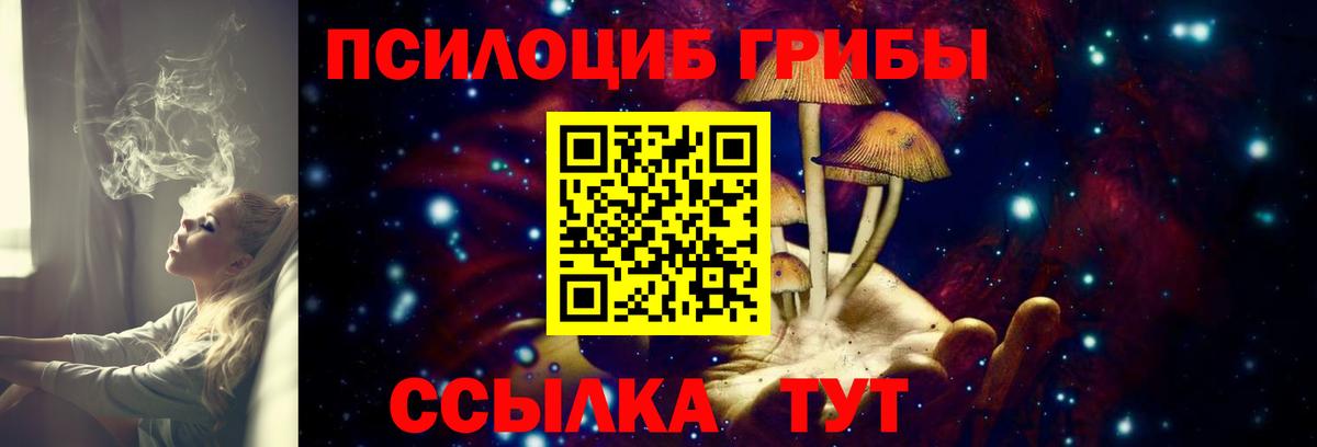 Псилоцибиновые грибы MAGIC MUSHROOMS Буйнакск